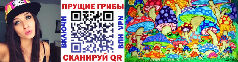 Псилоцибиновые грибы Psilocybe  Пыть-Ях 